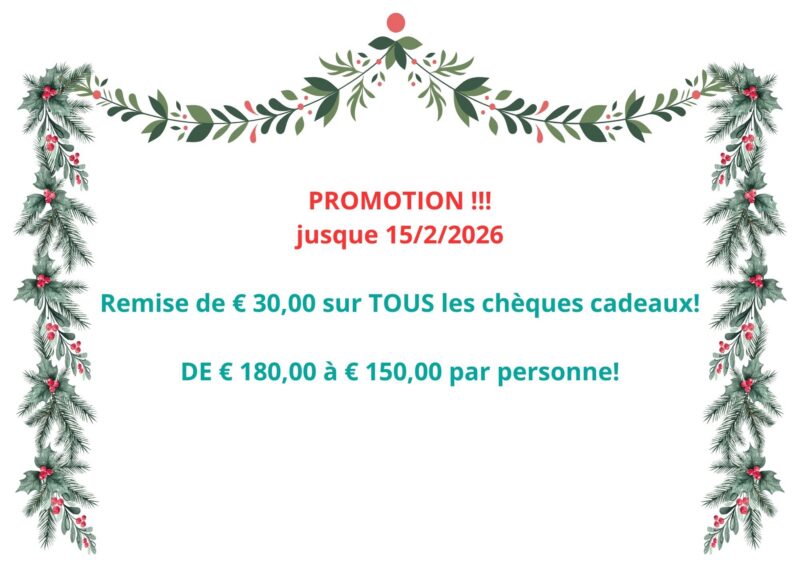 prix montgolfière promotion